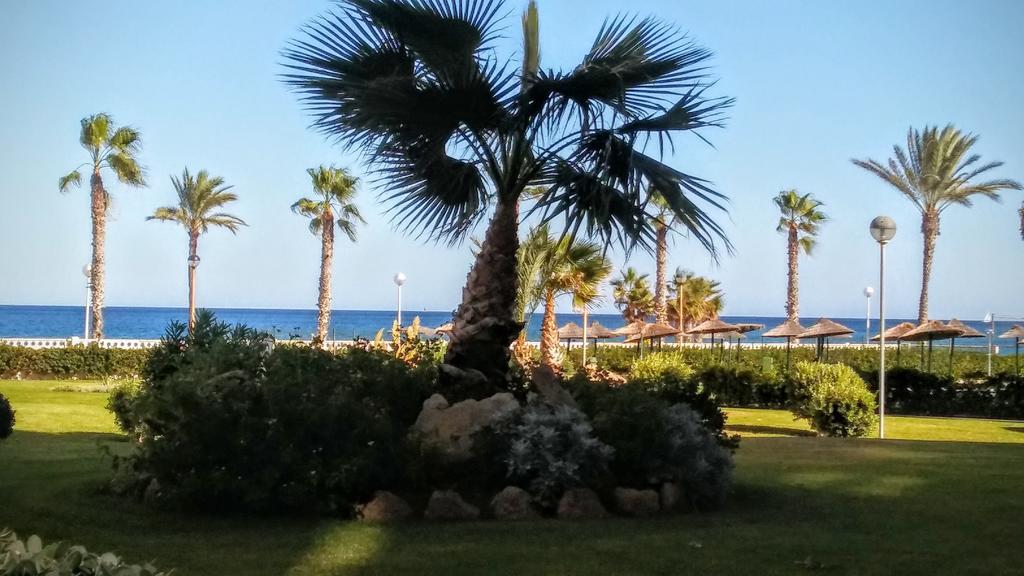 Urbanova Apartment El Altet